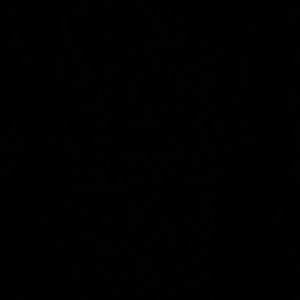 Meet your Posher, Ciera